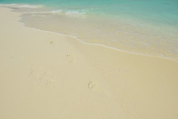 Image showing tropical beach