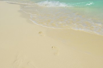 Image showing tropical beach