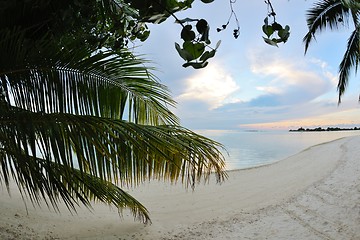 Image showing tropical water home villas