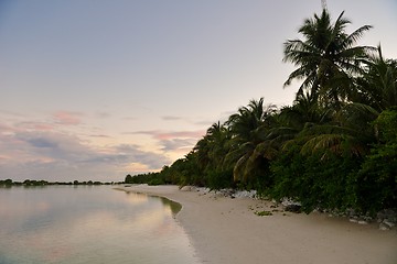 Image showing tropical water home villas