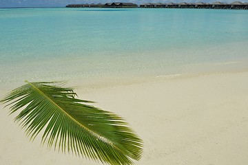 Image showing tropical beach