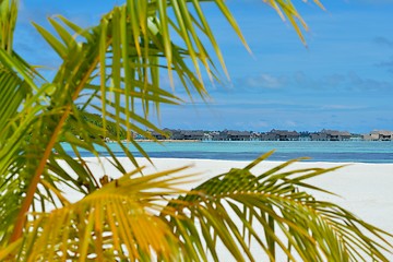 Image showing tropical beach