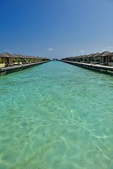 Image showing tropical water home villas