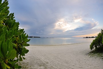 Image showing tropical beach