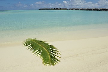 Image showing tropical beach