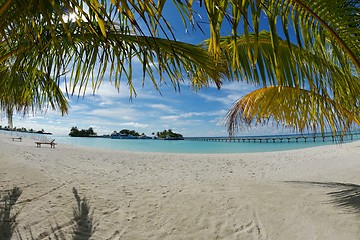 Image showing tropical beach