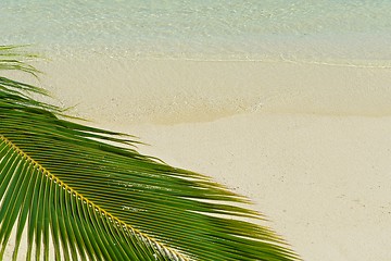 Image showing tropical beach