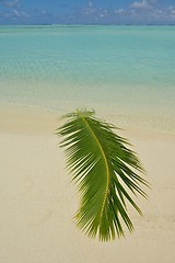 Image showing tropical beach