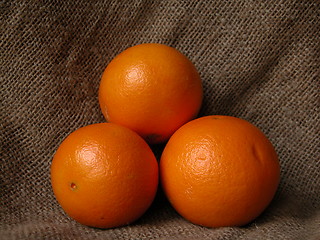 Image showing oranges