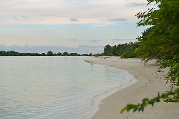 Image showing tropical beach