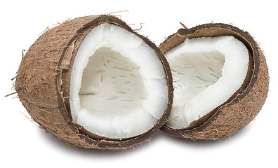 Image showing Coconut