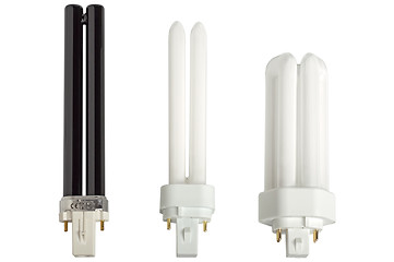 Image showing Compact fluorescent lamps.