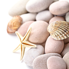 Image showing pile of stones, shells and sea star 