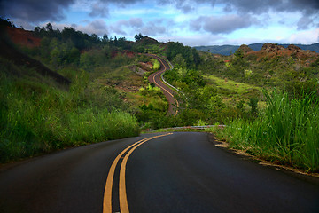 Image showing Artistic Curved Road on the Island of Kauai