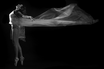 Image showing Movement With Sheer Fabrics and Long Exposure