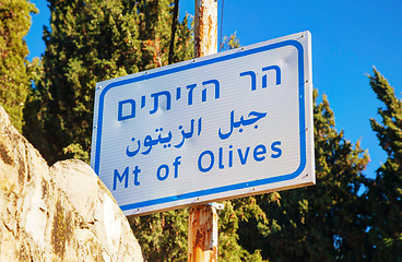 Image showing Mount of Olives sign in Jerusalem