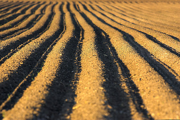 Image showing Ploughed soil