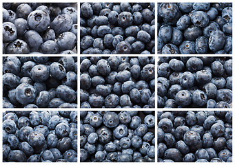 Image showing Blueberries