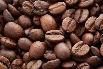 Image showing Coffee beans