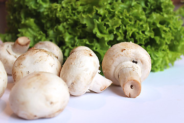 Image showing agaric and lettuce ready for the cooking