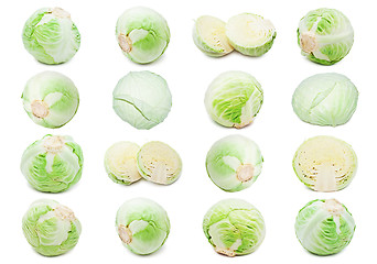 Image showing Cabbage