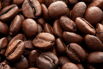 Image showing Coffee beans