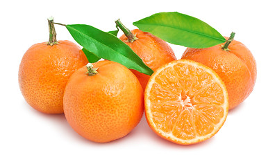 Image showing Tangerines