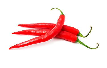 Image showing Hot chili pepper