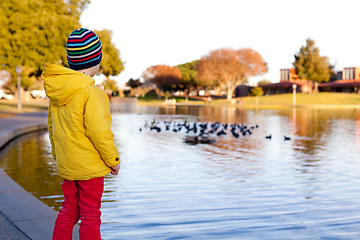 Image showing boy by the pond