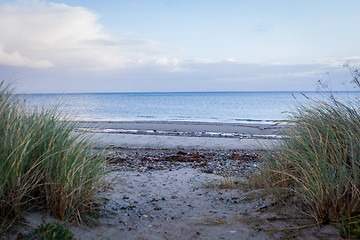 Image showing beautiful landscape dunes baltic sea in autumn winter