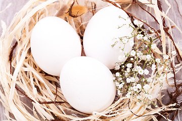 Image showing Plain undecorated Easter eggs in a nest