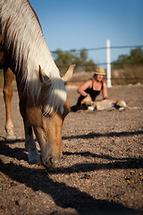 Image showing young woman training horse outside in summer