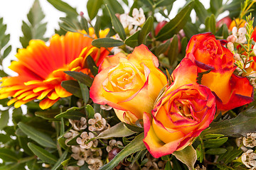 Image showing Vivid orange gerbera daisy in a bouquet