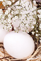 Image showing Plain undecorated Easter eggs in a nest