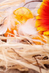 Image showing Vivid orange Easter egg with a gerbera and rose