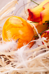 Image showing Vivid orange Easter egg with a gerbera and rose