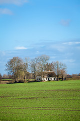 Image showing beautiful landscape of green farmland and blue sky