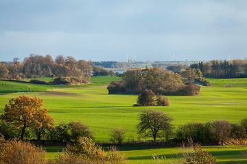 Image showing beautiful landscape of green farmland and blue sky