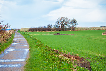 Image showing beautiful landscape in autum baltic see green field blue sky