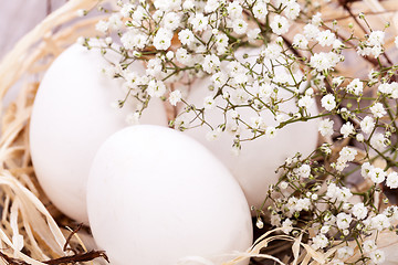 Image showing Plain undecorated Easter eggs in a nest