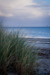 Image showing beautiful landscape dunes baltic sea in autumn winter