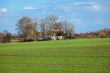 Image showing beautiful landscape of green farmland and blue sky