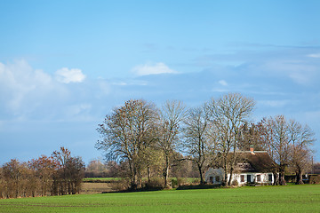 Image showing beautiful landscape of green farmland and blue sky