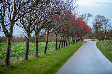 Image showing landscape and street in autumn spring outdoor 