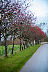 Image showing landscape and street in autumn spring outdoor 