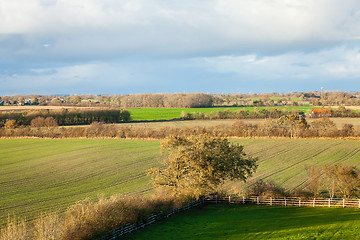 Image showing beautiful landscape of green farmland and blue sky