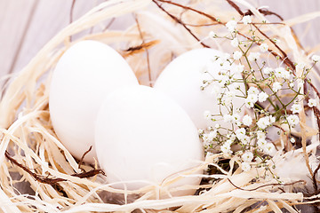 Image showing Plain undecorated Easter eggs in a nest