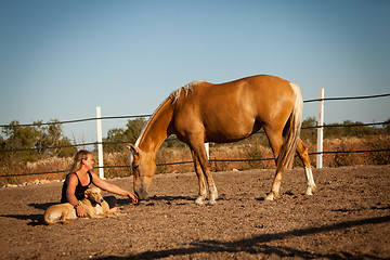 Image showing young woman training horse outside in summer