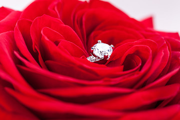 Image showing Diamond engagement ring in the heart of a red rose