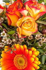 Image showing Background of vivid orange roses